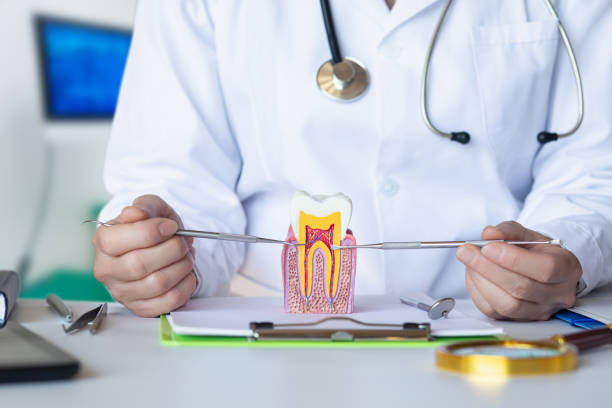 Best Emergency Root Canal Treatment in Luverne, AL